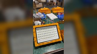 إضاءة LED مضادة للانفجار SMD2835/3030 100-110lm/W IP66 للمصانع والمناطق الخطرة