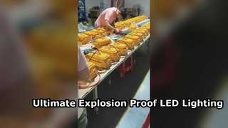 تمت الموافقة على ATEX للمصباح الكاشف LED المقاوم للماء IP65 مع الزجاج المقسى للمناطق الخطرة