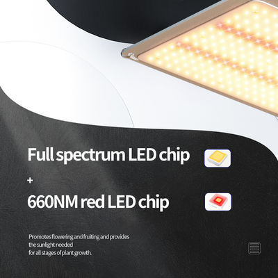 200w LED T5 النمو أضواء نظام إضاءة الدفيئة