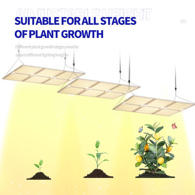 مصباح نمو LED كامل الطيف بقدرة 600 واط مع وظيفة التعتيم لنمو النبات الأمثل