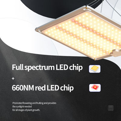 مصباح نمو LED كامل الطيف بقدرة 600 واط مع وظيفة التعتيم لنمو النبات الأمثل