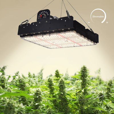 طيف كامل T5 Led Grow Light للنباتات الداخلية 250w