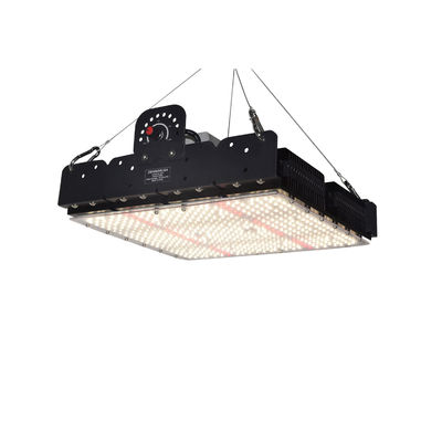 طيف كامل T5 Led Grow Light للنباتات الداخلية 250w