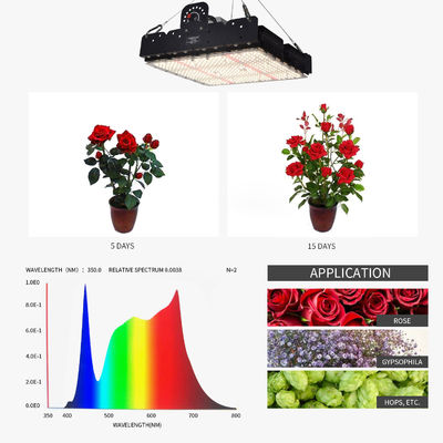طيف كامل T5 Led Grow Light للنباتات الداخلية 250w