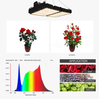 PPFD قراءة مصابيح النمو LED للنباتات الداخلية NR Spectrum