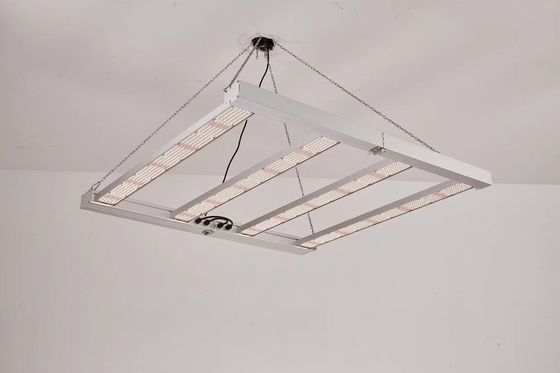 ضوء النمو المنسد 4T LED 600W 800W للخدمات التجارية