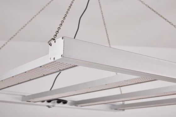 ضوء النمو المنسد 600W كامل الطيف LED للزراعة النباتية التجارية