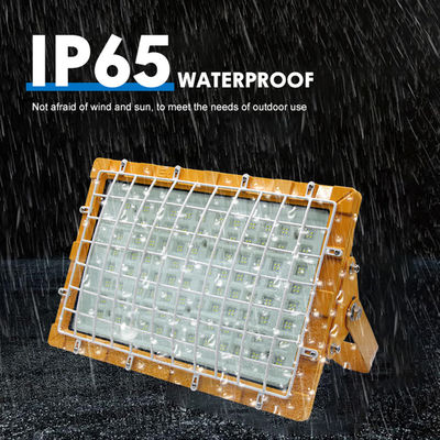 رقائق LED SMD2835/3030 بتصنيف IP66، إضاءة LED مقاومة للانفجار بكفاءة 100-110 لومن/واط للمصانع